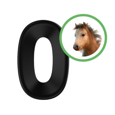 Pony pasvorm paardenvernevelmasker inlay maakt verneveling mogelijk voor pony’s met ademhalingsproblemen